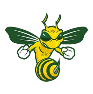 Aiken Fighting Green Hornets