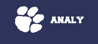 Analy HS