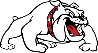 Wilson Water Polo