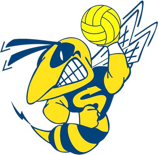 Saline Boys Water Polo