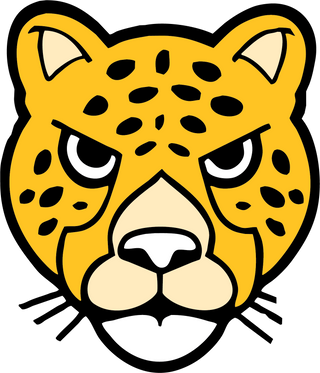 Saint Joseph Academy Jaguars