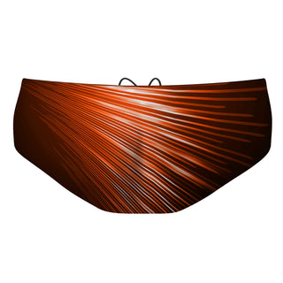 Grand Rapids - Classic Brief Swimsuit
