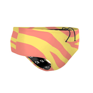 SunZebra - Classic Brief Swimsuit