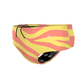 SunZebra - Classic Brief Swimsuit