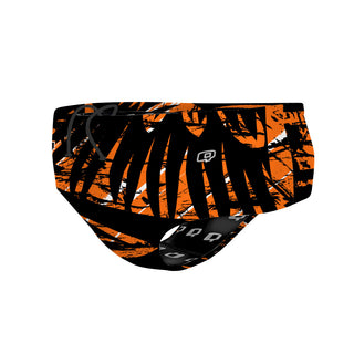 Winona Winhawks - Classic Brief Swimsuit