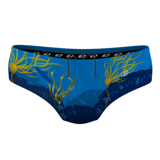 Victoria UWH - Classic Brief Swimsuit