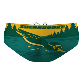 10/22/2025 - Classic Brief Swimsuit