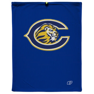 Carter High School - Mesh Bag