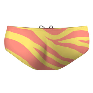 SunZebra - Classic Brief Swimsuit