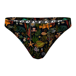 Oceania - Waterpolo Brief Swimsuit