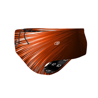 Grand Rapids - Classic Brief Swimsuit