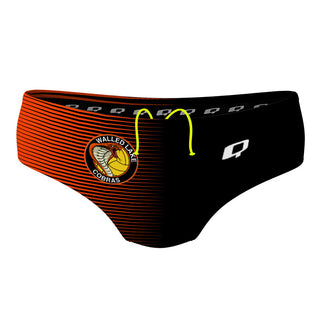 Walled Lake 2022 - Classic Brief Swimsuit