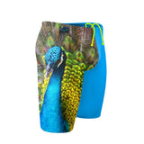 peacock 1 - Jammer