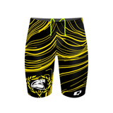 Northen Lights Jammer