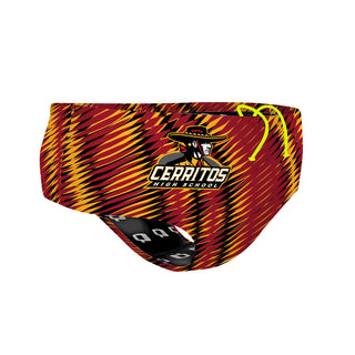 Teams Project 10 - Classic Brief Swimsuit